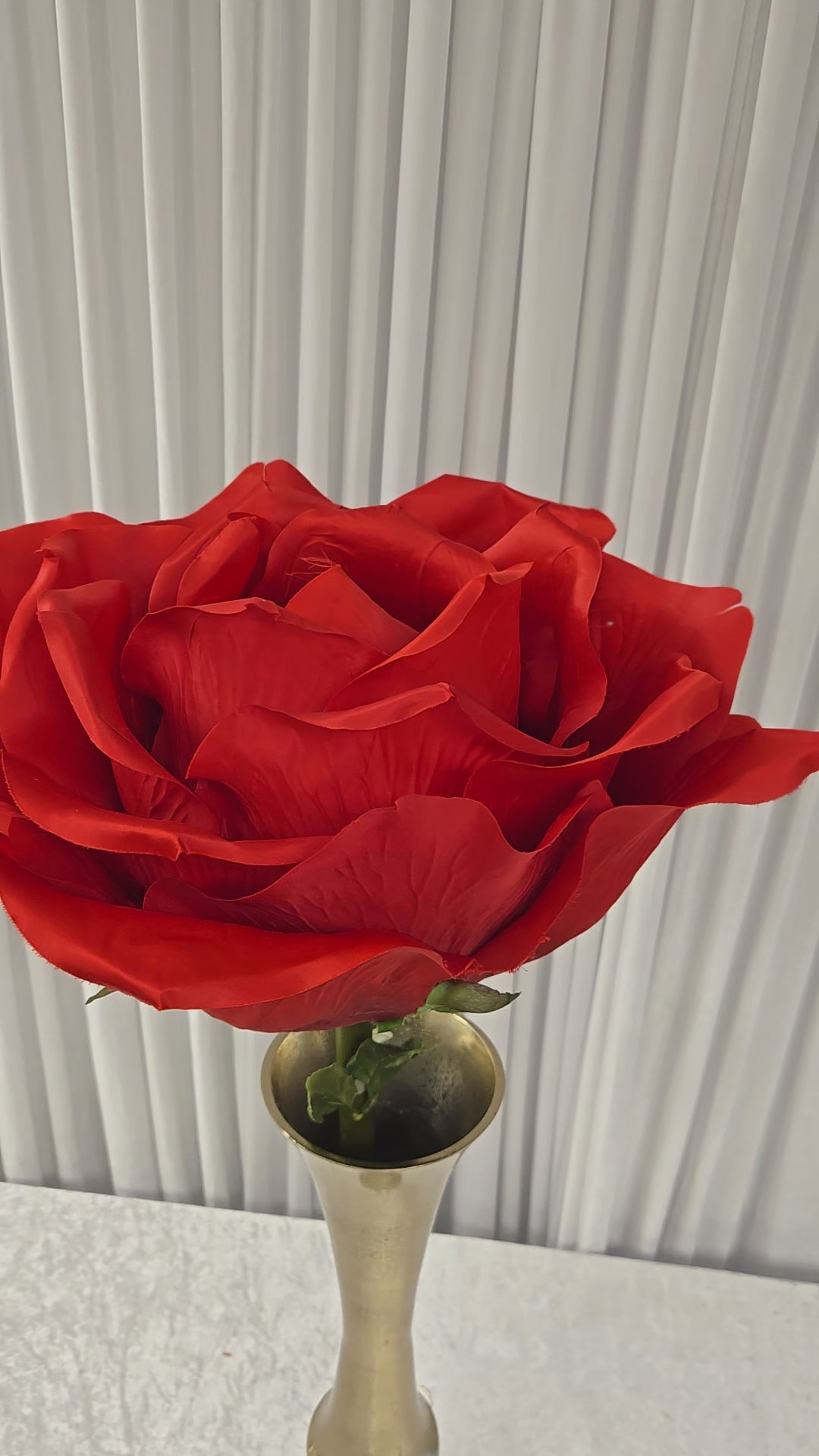 Load video: Giant Rose Stem