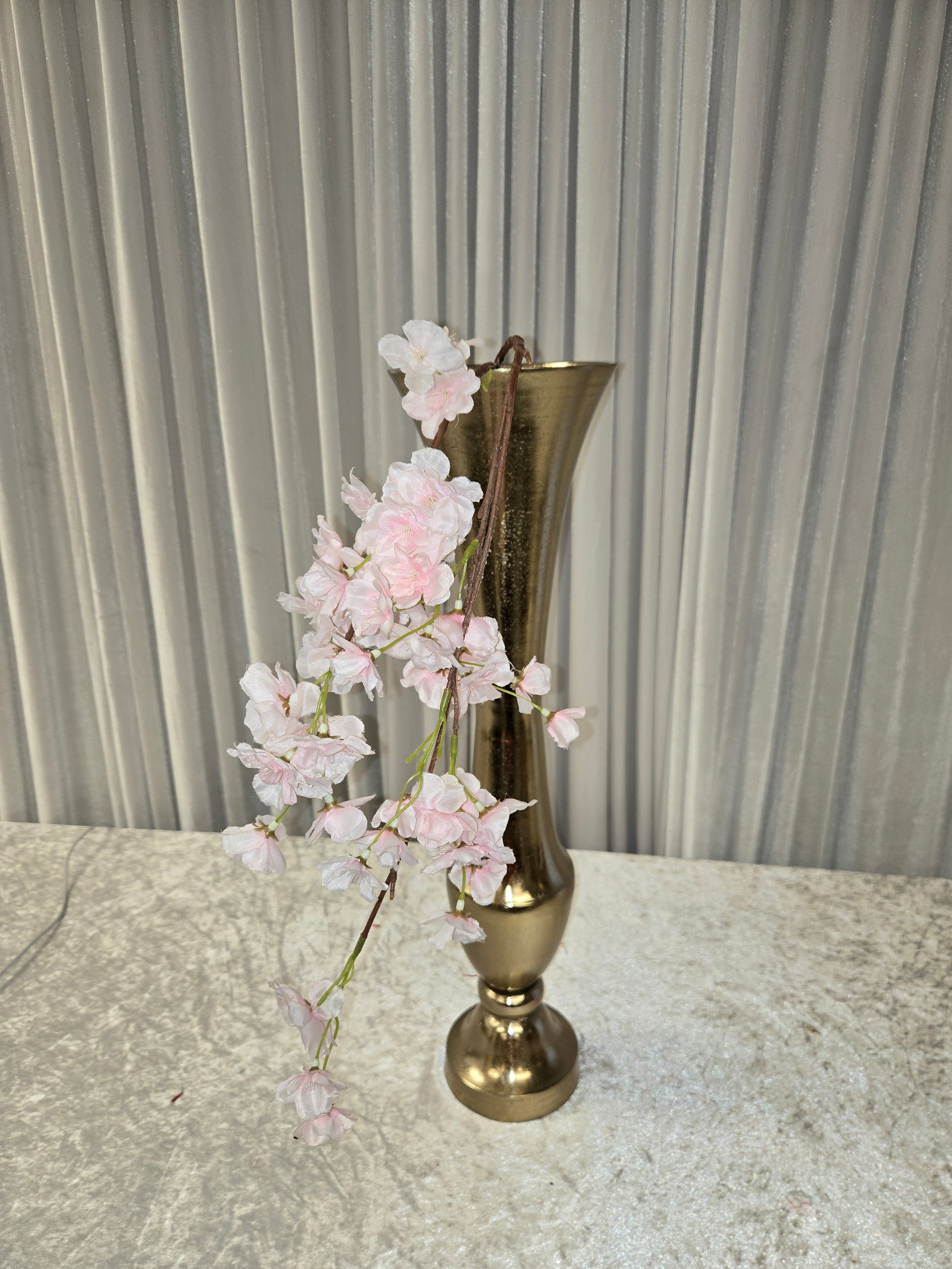 Pink Gladiolus stem