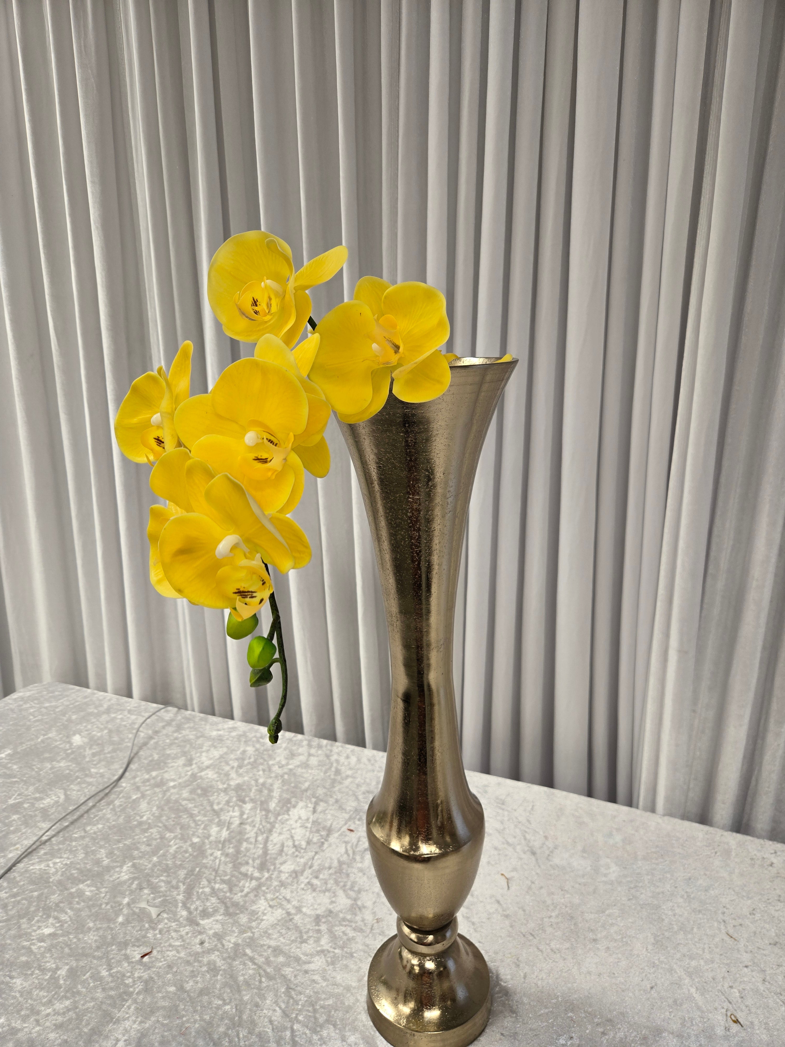 Yellow Gladiolus Stems