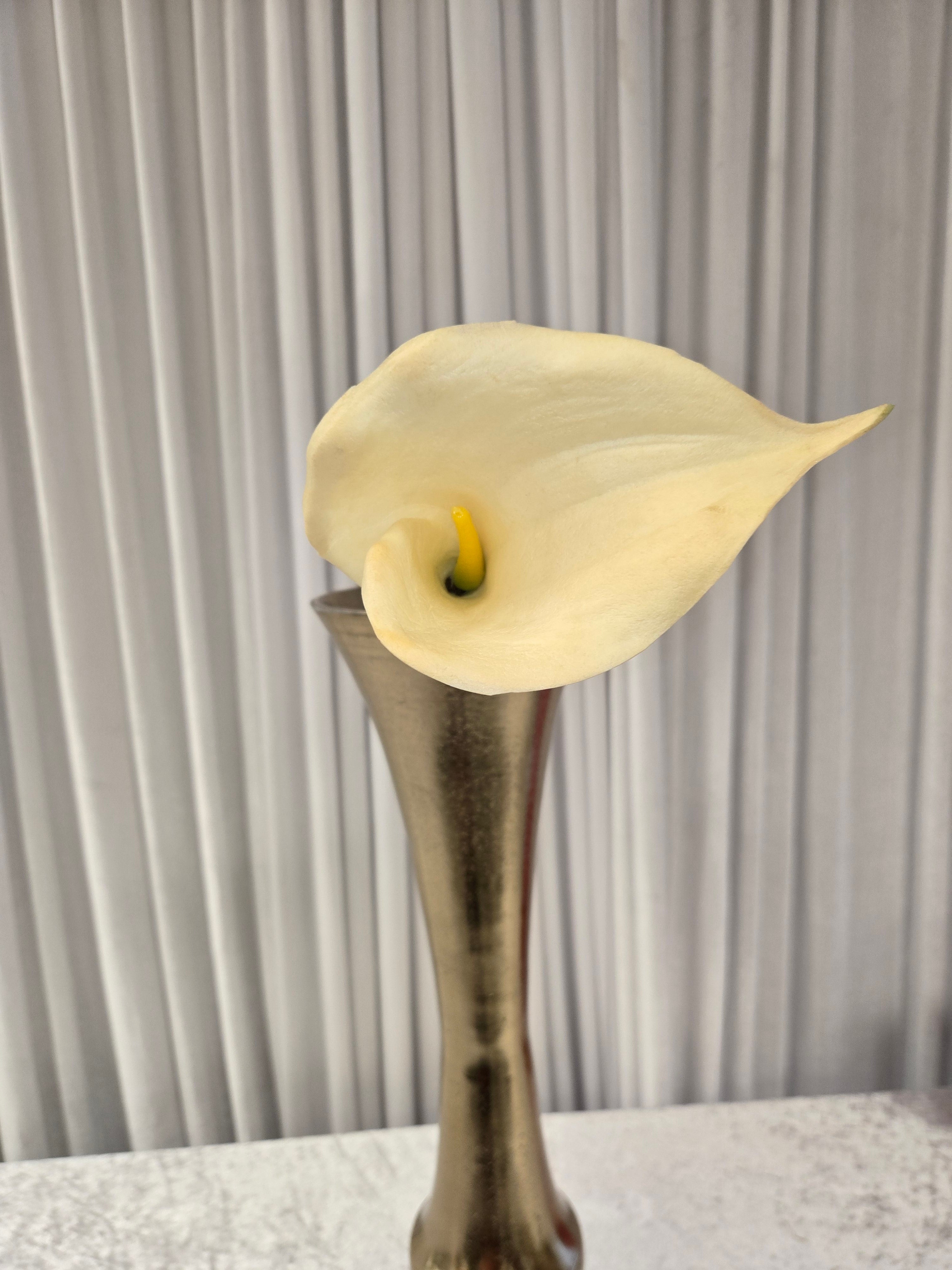 White and ivory Calla Lillies