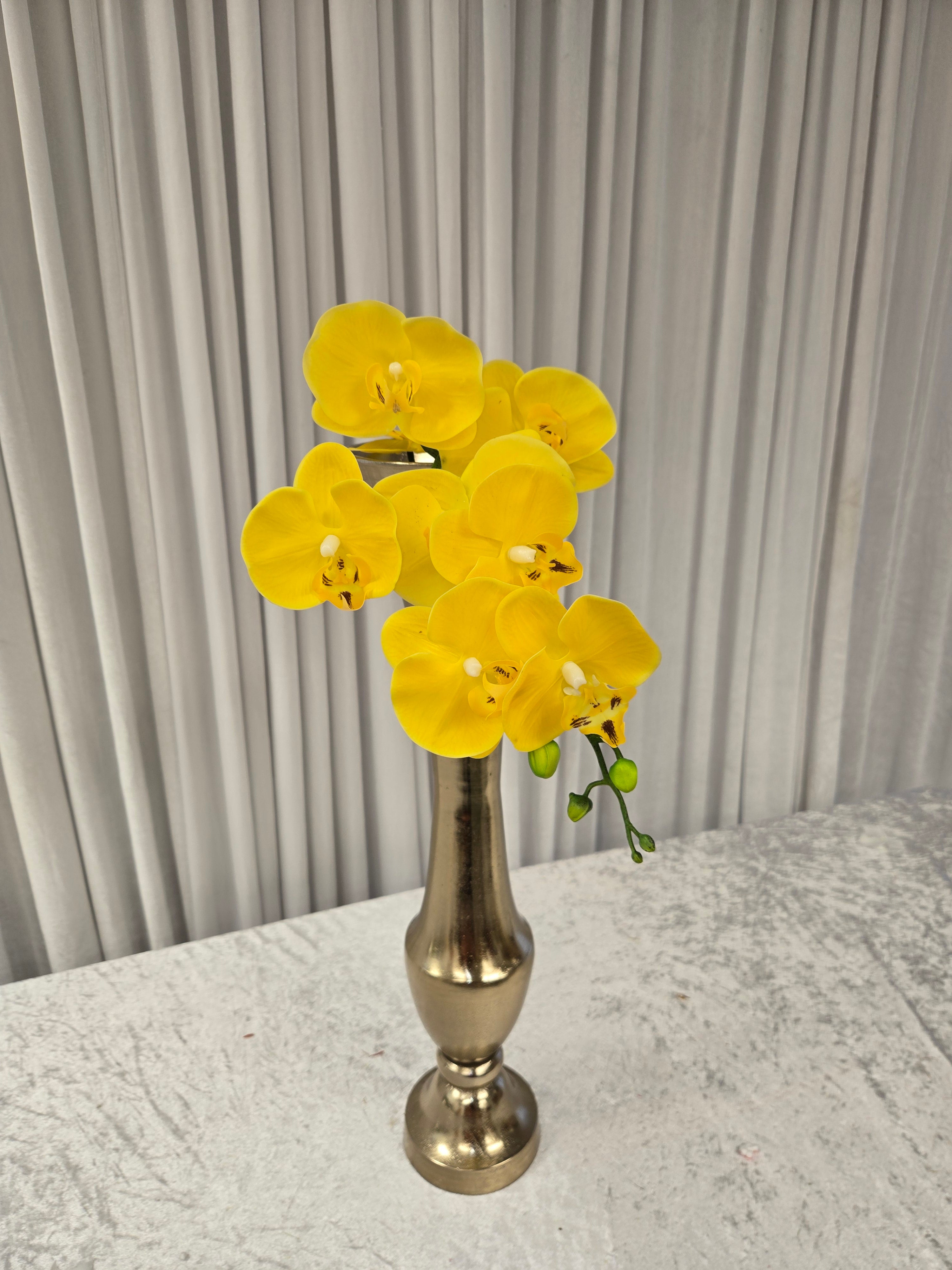 Yellow Gladiolus Stems