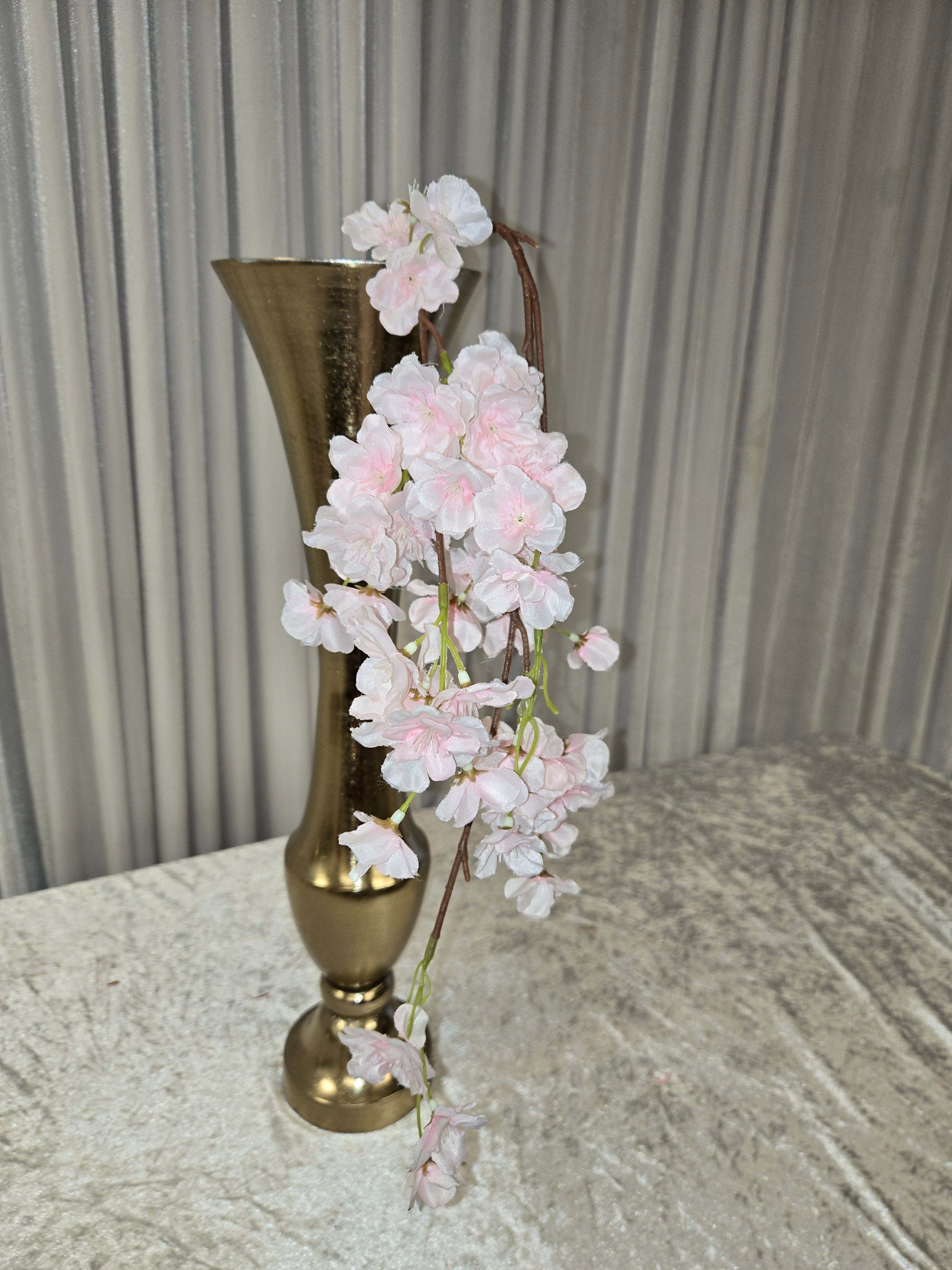 Pink Gladiolus stem