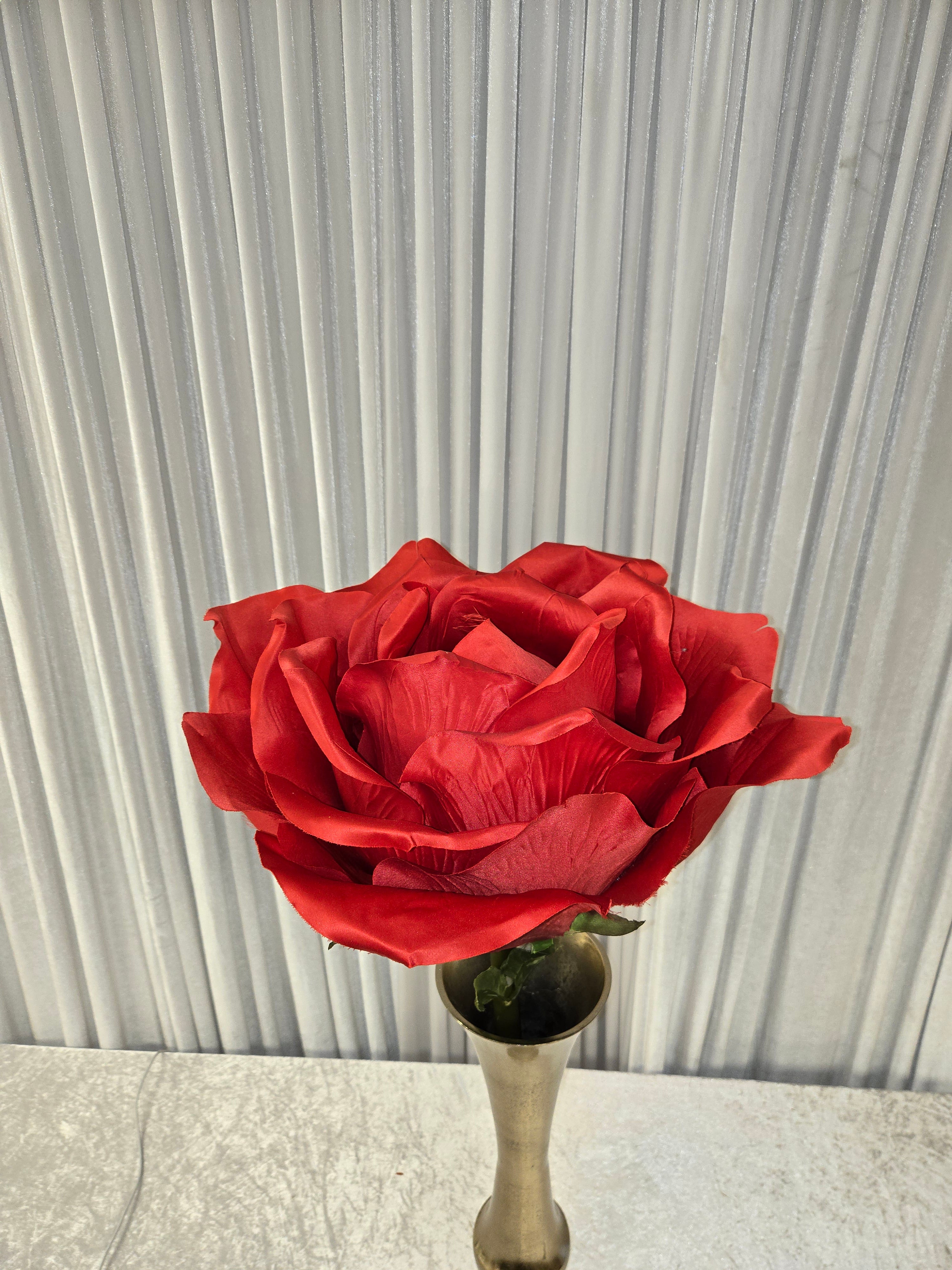 Giant Rose Stem